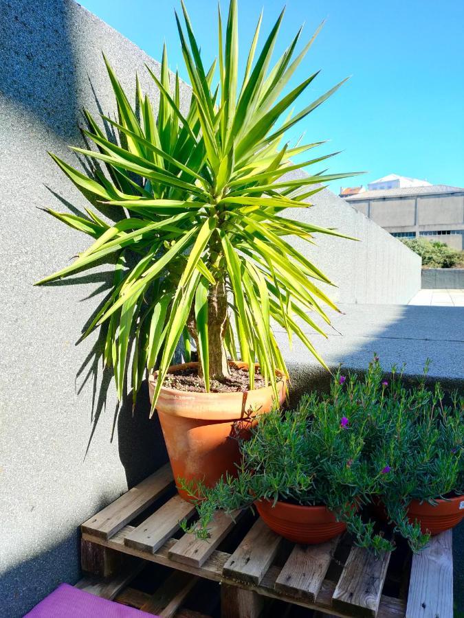 Porto Santa Catarina - Apartment With Terrace 外观 照片
